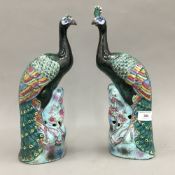 A pair of 19th century Chinese porcelain models of peacocks. 34 cm high.