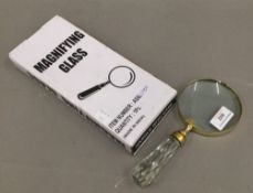 Two magnifying glasses