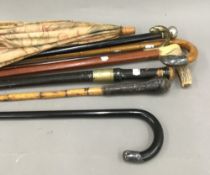 A collection of various walking sticks