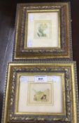 A A NASH, two Childrens Encyclopedia Illustrations, watercolours,