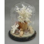 A Victorian glass dome enclosing various coral and shell specimens