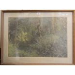 ANTHONY DAY (20th/21st century) British, Shady Fen Walk, egg tempera, signed, framed and glazed.