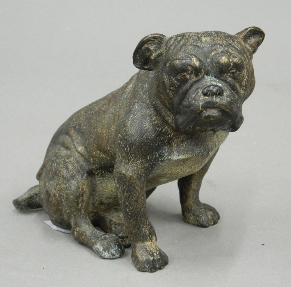 A cold painted bronze model of a bulldog