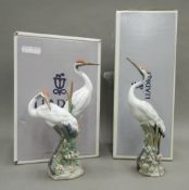 Two Lladro porcelain figures, Courting Canes No.01611 and Dancing Crane No.