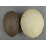 An ostrich egg and an emu egg - WITHDRAWN