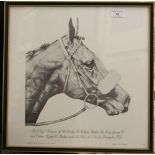 CHRIS JENNINGS, Horse Studies (including Mill Reef, Brigadier Gerard, Golden Miller, Sir Ivor,