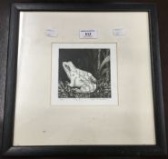 LINDA RICHARDSON, Frog II, etching, number 6/50,