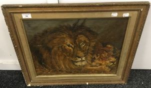 N T BOYCE, Lions at Rest, oil on canvas, signed and dated 1907, framed. 62 x 51.5 cm overall.