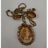 A 9 ct gold framed cameo pendant on chain and a pair of earrings en-suite (11.