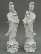 A pair of Chinese blanc-de-chine models of Guanyin