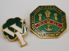 An Ely Women's Institute enamel badge and another