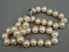 A pearl bead necklace