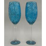 A pair of large glass goblets