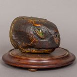 A 19th century preserved taxidermy specimen of a turtle head Set as a table snuff,
