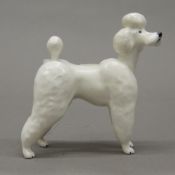 A Beswick model of a poodle. 9.5 cm high.