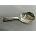 A silver shell bowl caddy spoon. 11 cm long (12.9 grammes).