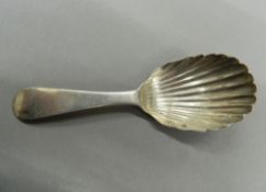 A silver shell bowl caddy spoon. 11 cm long (12.9 grammes).