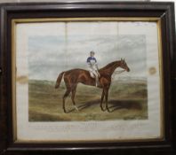 A 19th century print of the racehorse, Tristan with Jockey Up, framed and glazed. 99.