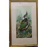 MICHAEL WARREN, limited edition print of a bird, numbered 26/200, framed and glazed.