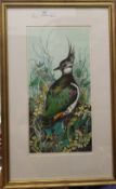 MICHAEL WARREN, limited edition print of a bird, numbered 26/200, framed and glazed.