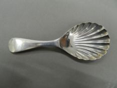 A small silver shell bowl caddy spoon. 9.5 cm long (13.9 grammes).