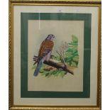 A painting on silk of a hawk, framed and glazed. 67 cm wide overall.