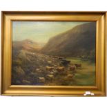 A Victorian oil on board, Highland Cattle in a Mountainous Landscape, framed. 72 cm wide.