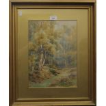 JOSEPH ARTHUR POWELL (1876-1961) British, Path Through Wood, watercolour, signed, framed and glazed.