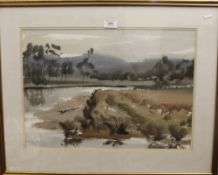 GRAHAME L SALMON, Salt Water River, Tasmania, watercolour, framed and glazed. 50 x 35.5 cm.