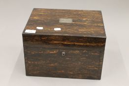 A 19th century coromandel dressing box. 30.5 cm wide.