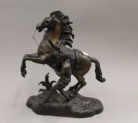 A bronze Marley horse. 39 cm high.