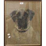 SIDNEY LANGDON, Portrait of a Dog ''Elizabeth'', pastel, dated 1935, framed and glazed. 40 x 50 cm.