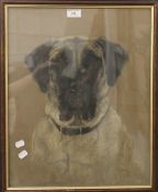 SIDNEY LANGDON, Portrait of a Dog ''Elizabeth'', pastel, dated 1935, framed and glazed. 40 x 50 cm.