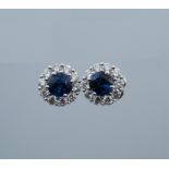 A pair of 18 ct white gold quality diamond and sapphire halo earrings.