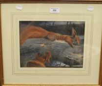 ENGLISH SCHOOL, A Pair of Squirrels, oil, framed and glazed. 26 x 19.5 cm.