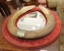 A Victorian mirror mounted with two large hippopotamus teeth. 47 cm wide.