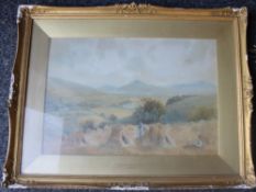 F ANGELL, Nr Sutton Courtnay, Devon, watercolour, framed and glazed. 52 x 36 cm.