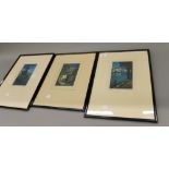 Three Continental coloured etchings, framed and glazed. The largest 29 x 42 cm overall.