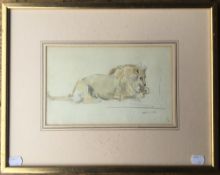 Recumbent Lion, pencil and watercolour, initialled S.A, framed and glazed. 25 x 16 cm.