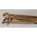 A quantity of rustic walking sticks. The largest 142 cm long.