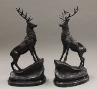 A pair of bronze stags. 43.5 cm high.