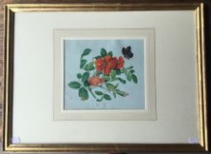 Studio of TINGQUA (19TH CENTURY) Chinese, Red Camellia with Butterfly, watercolour and bodycolour,