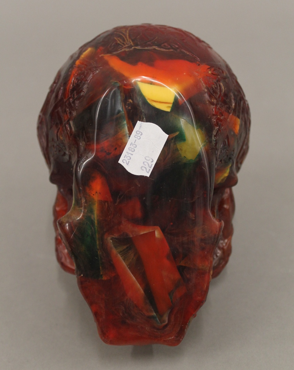 A model of a skull - Bild 4 aus 4