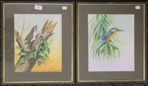 ALAN FAIRBRASS (20th/21st century) British, Kingfisher and a Treecreeper, watercolours, signed,