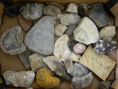 A quantity of various fossils and minerals.