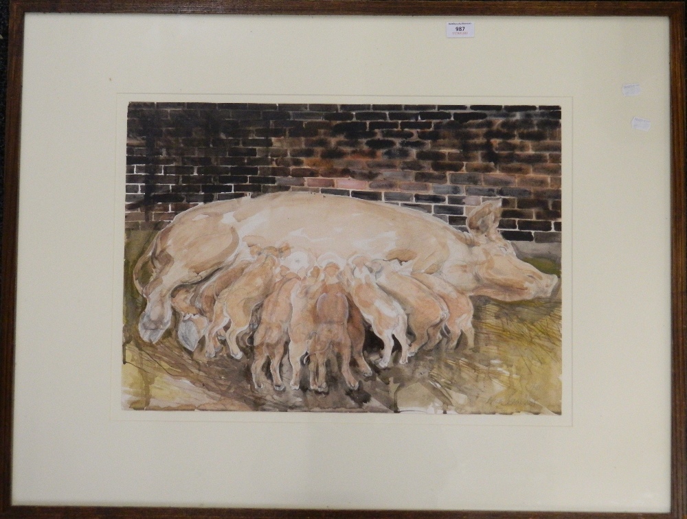 NICK JOHNSON, Piglets Feeding, watercolour and pencil, framed and glazed. 58 x 42 cm.