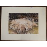 NICK JOHNSON, Piglets Feeding, watercolour and pencil, framed and glazed. 58 x 42 cm.