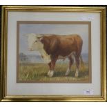 H B WILLIS, Bull, watercolour, dated '68, framed and glazed. 28 x 24 cm.