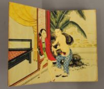 A Chinese erotic book.