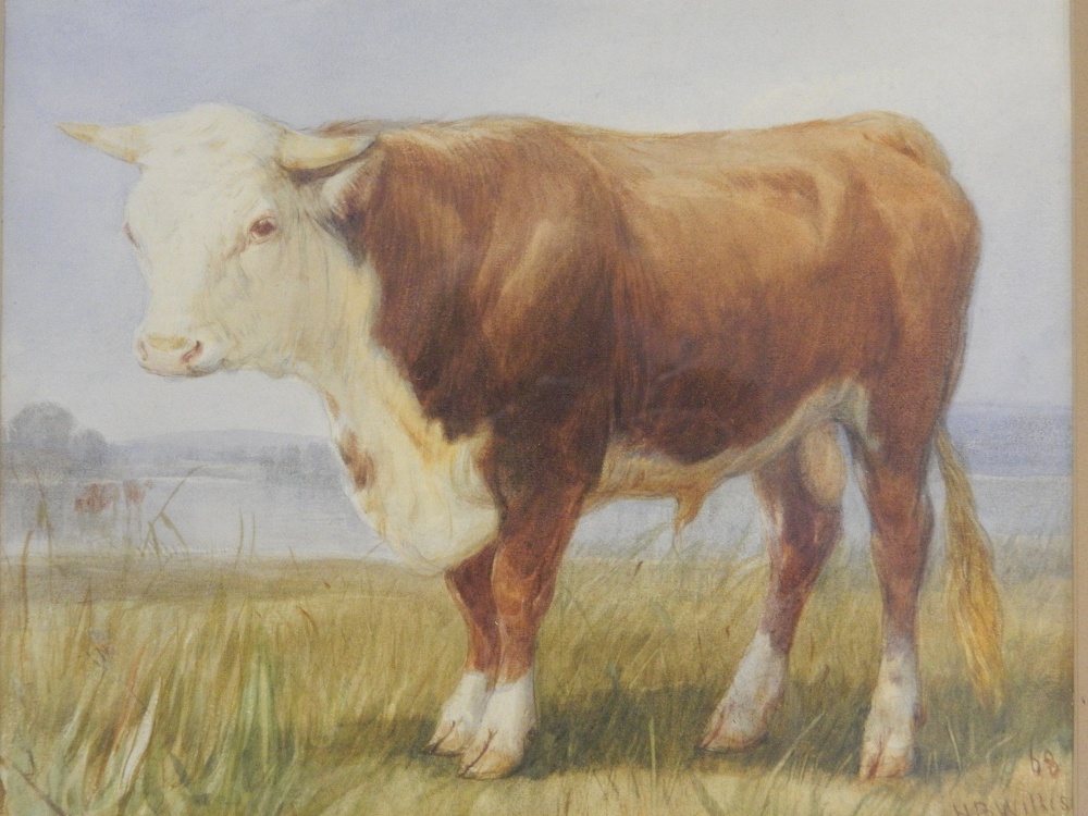 H B WILLIS, Bull, watercolour, dated '68, framed and glazed. 28 x 24 cm. - Image 2 of 3